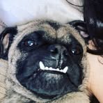 Peter Tizzano - Facebook Profile Picture of Peter Tizzano (@Peter-Tizzano) on Facebook