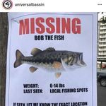 Profile Picture of shawn staggs (@fishing_the_ponds_with_shawn) on Instagram