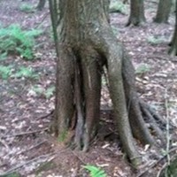 Profile Picture of Joseph Boland (@joseph-boland-5) on Quora