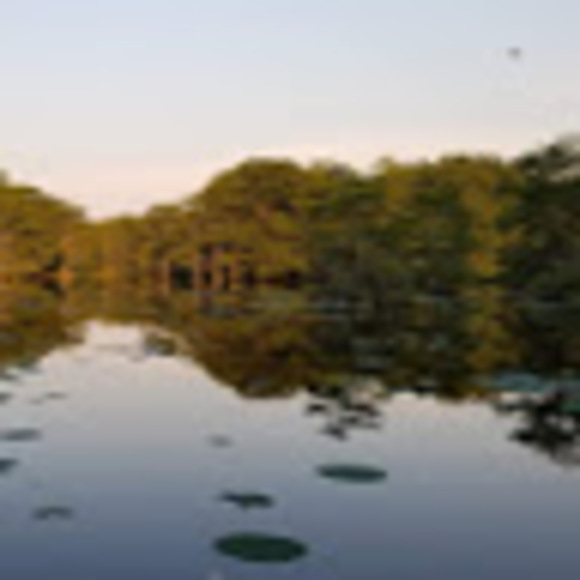 Profile Picture of Estella Desoto (@desoto1996) on Poshmark