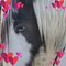 Profile Picture of Bernice Hebert (@bernice.hebert.90) on Facebook