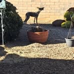 Profile Picture of Beverly Mcclure (@beverly.mcclure.3954) on Facebook