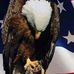 Profile Picture of Ottis Capps (@ottis.capps) on Facebook