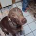 Profile Picture of Carol Thalman (@kisspunkoma) on Pinterest