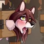Profile Picture of Dawn (@small_wolf_dawn) on Instagram