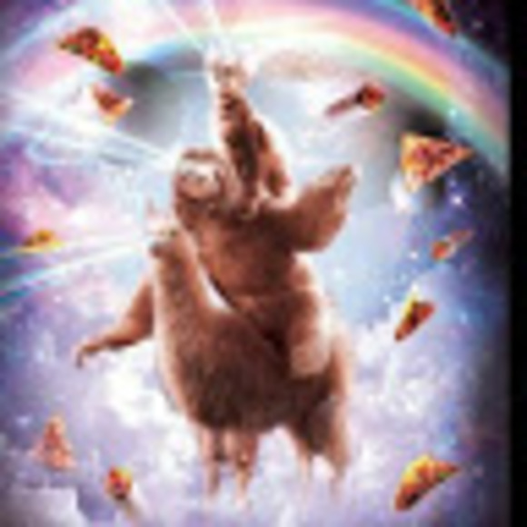 Sophia Maciel - Poshmark Profile Picture of Sophia Maciel (@14064) on Poshmark