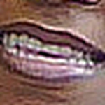 Profile Picture of April Allen (@apple1903) on Flickr