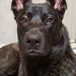 Profile Picture of Carolyn Muessman (@carolynmuessman) on Instagram