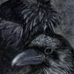 Profile Picture of Lee Maynard (@lee962) on Pinterest