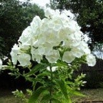 Profile Picture of Luken (@lukengannesw47) on Instagram