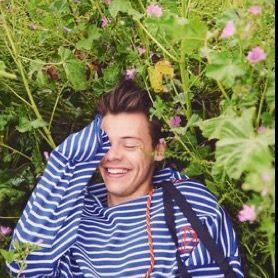 Profile Picture of 😍😍 (@haroldspinkstairs) on Tiktok