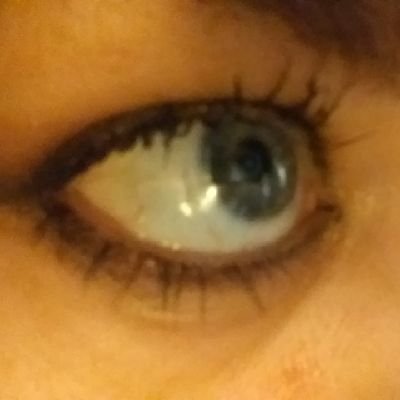 Profile Picture of Jules Jenkins Williams Jameson (@julesjenkinsedu) on Twitter