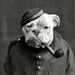Profile Picture of Bryan Fillinger (@bfilli5755) on Pinterest