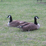 Profile Picture of Patrick Shea (@patricksheaesq) on Flickr