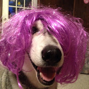 Profile Picture of David Mudd (@LucidDream420) on Youtube