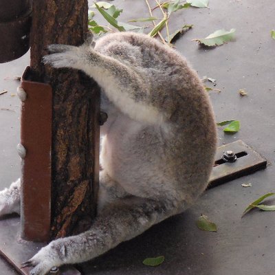 Profile Picture of James Govan (@JamesGovan3) on Twitter