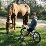 Profile Picture of Benjamin Kowald (@benjamin_kowald) on Instagram