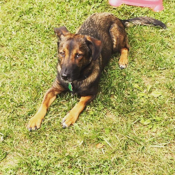 Profile Picture of Kari Filieo (@kaml04) on Poshmark