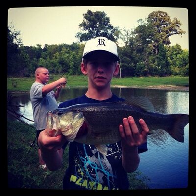 Profile Picture of Aaron Hollis (@aaron_hollis) on Twitter