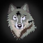 Profile Picture of Tyler Petrie (@lonewolf112202) on Pinterest