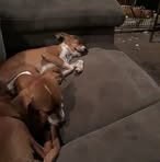 Profile Picture of Bobbie David (@bobbie.david.7) on Facebook