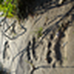 Agnieszka Sztaba - Flickr Profile Picture of Agnieszka Sztaba (@danslemonde) on Flickr