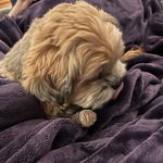 Profile Picture of Matthew LeBaron (@lebaron_matthew) on Instagram