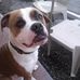 Profile Picture of Carla Ann Trask (Carla Ann Guinan) (@carla.a.trask) on Facebook