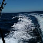 Profile Picture of Lora Poe (@lora_poe) on Instagram