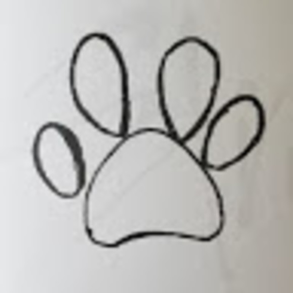 Profile Picture of Taylor Frank (@taylorfrank1494) on Poshmark