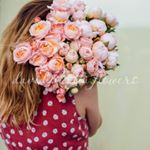 Profile Picture of Доставка цветов в Киеве (@david.austin.flowers) on Instagram