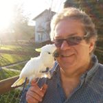 Profile Picture of Michael Brandt (@protzenalp) on Instagram