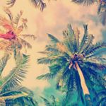 Profile Picture of Diana Maciujec (@dmaciujec) on Instagram