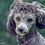 Erik Alpízar / Fotografía - Instagram Profile Picture of Erik Alpízar / Fotografía (@erickalpizar_fotografia) on Instagram