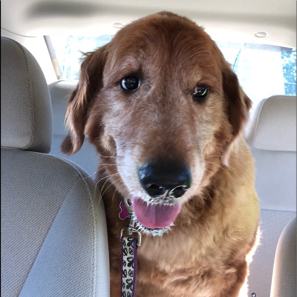 Profile Picture of Keith Huffman (@huff17) on Poshmark