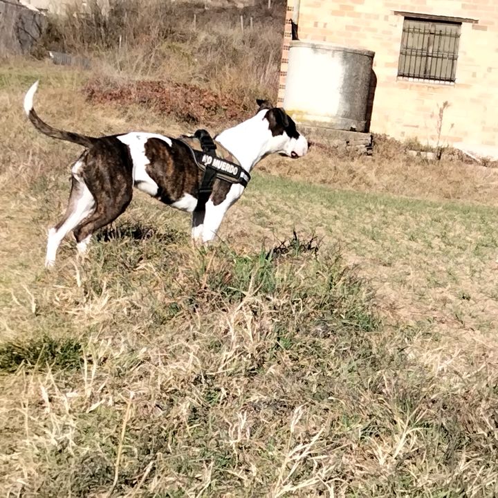 Profile Picture of Daniel Arjona (@faradays2781) on Tiktok