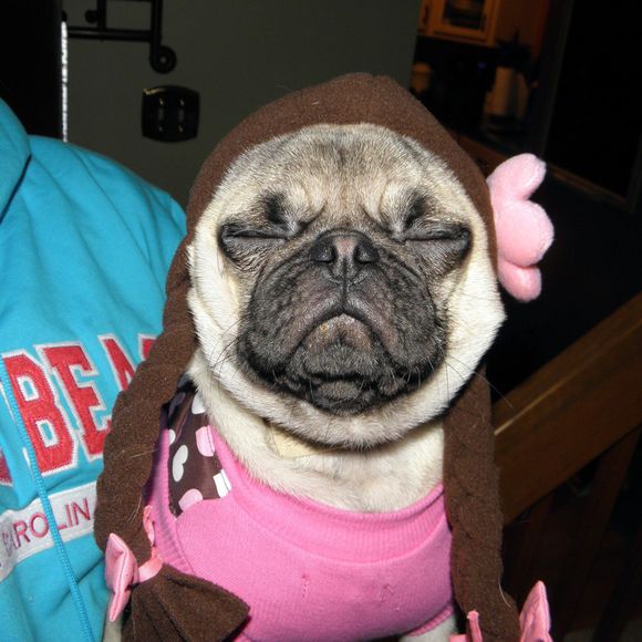 Profile Picture of June Patten (@lexykupeer) on Poshmark