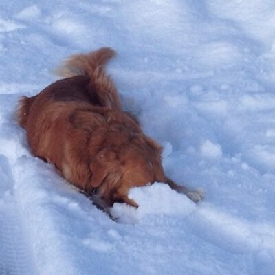 Profile Picture of David Vandrovec (@DavidVandrovec) on Twitter