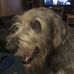Profile Picture of Robyn Wilkins (@robyn.wilkins.77) on Facebook