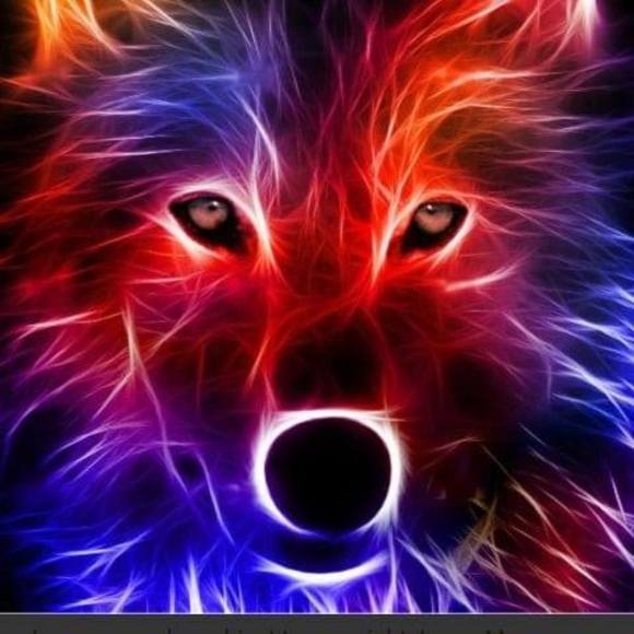 Azariah Madril - Poshmark Profile Picture of Azariah Madril (@azariahmadril) on Poshmark