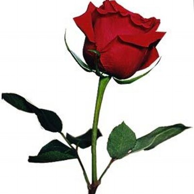 Profile Picture of Raj MIttal (@RajmittalSonu) on Twitter