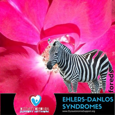 Profile Picture of Miranda Johnson (@bctripletmom) on Twitter