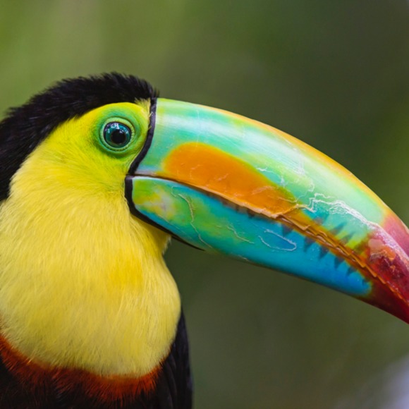 Profile Picture of Maddy Guild (@mguild) on Poshmark