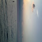 Profile Picture of Dennis Curry (@@ou812112) on Tiktok