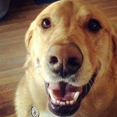 Alex Brendon - Twitter Profile Picture of Alex Brendon (@Alex_Brendon180) on Twitter