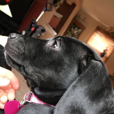 Profile Picture of Devin Starr (@devinstarr4) on Twitter