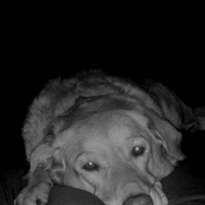 Profile Picture of Derek Smoot (@dereksmoot) on Twitter
