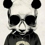 Profile Picture of Shane Nesbeth (@Shane-Nesbeth) on Facebook