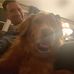 Profile Picture of Josh J Bulloch (@josh.j.bulloch) on Facebook