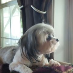 Profile Picture of marthatrammell166 (@marthatrammell166) on Tiktok